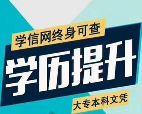 健康行業新賽道 四大熱門職業賦能未來生活